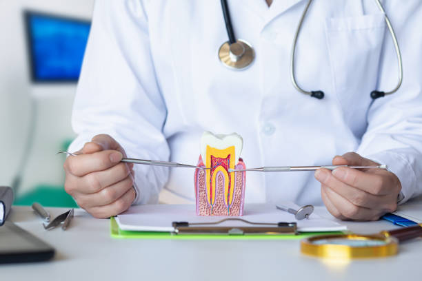 Best Tooth Pain Emergency Relief  in Oakland, OR